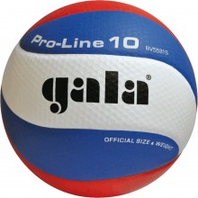 Мяч волейбольный GALA Pro Line 10 соревновательный клееный (PU), BV