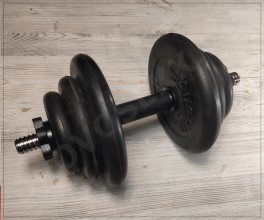 Гантель 19кг profigym